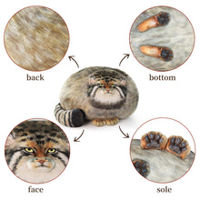 Steppe Cat Plush 12-Inch Stuffed Animal - Pallas Cat Plush Pillow, Soft Plush Toy for Girls & Boys, Cute Throw Pillow Doll Gift for Kids, Christmas Party Decoration