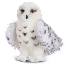 Douglas Wizard Snowy Owl Plush – Soft & Cuddly Stuffed Animal Pillow Doll for Kids